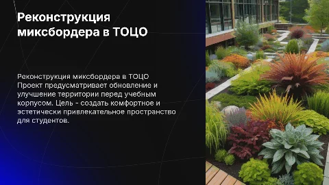 Реконструкция миксбордера перед учебным корпусом ТОЦО