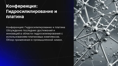 Конференция по гидросилилированию на платиновых комплексах