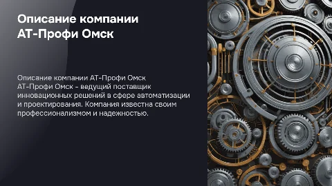 Описание Предприятия АТ-Профи Омск