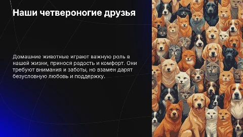 Наши четвероногие любимцы