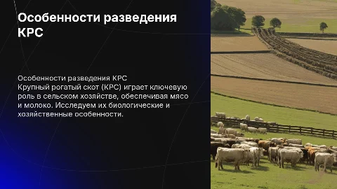 биологические и хозяйственные особенности КРС
