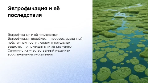 эвтрофикация и самоочистка водоемов