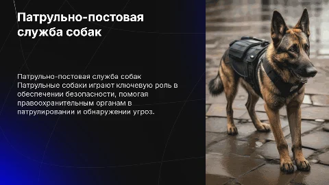 Патрульно-постовая служба собак