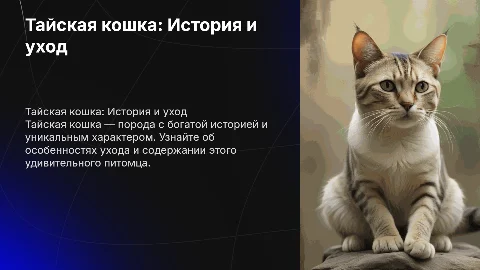тема о домашнем животном о тайской кошке