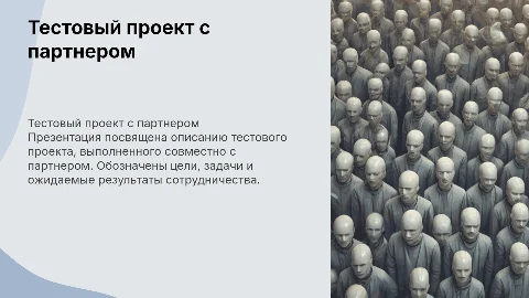 Тестовый проект с партнером
