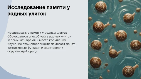 запоминают ли водные улитки время и место их кормления?