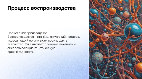 Процесс воспроизводства