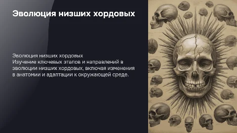 Основные направления эволюции низших хордовых животных