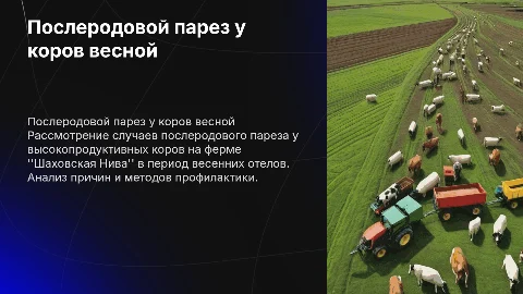 Послеродовой парез у высокопродуктивных коров весной