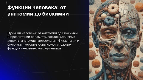 Анатомические и физиологические функции человека: презентация