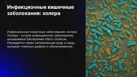 инфекционные кишечные заболевания: холера