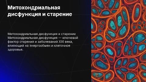 Митохондриальная дисфункция: причина старения и болезней
