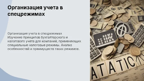 Организация бухгалтерского и налогового учета в спецрежимах