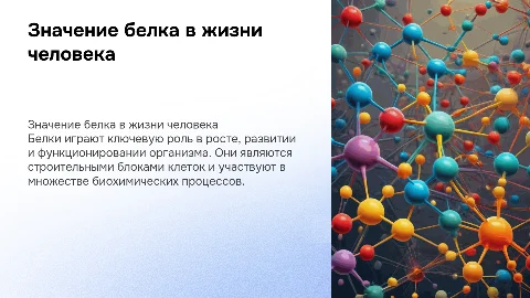 Значение белка