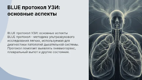 BLUE протокол УЗИ