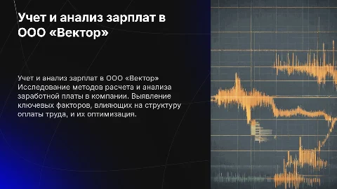 Учет и анализ заработной платы в ООО «Вектор»