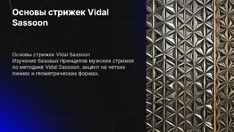 Основы мужских стрижек по базе Vidal Sasson