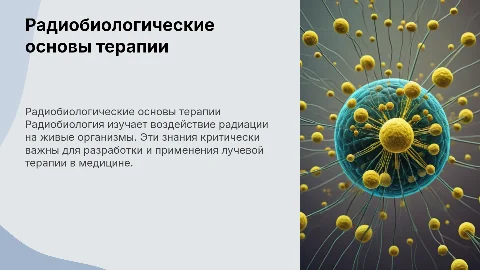 Радиобиологические основы лучевой терапии