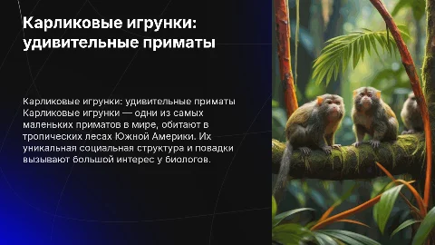 Карликовые игрунки