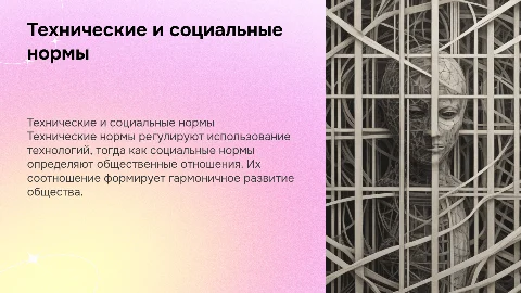Технические и социальные нормы: понятие и соотношение