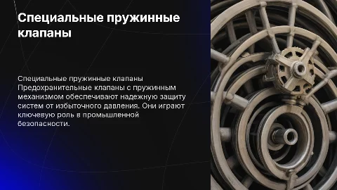 специальный пружинный предохранительный клапан