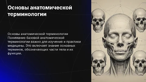 базовая анатомическая терминология