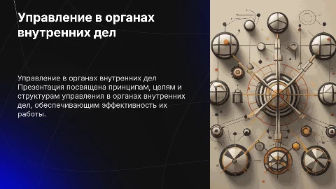 Принципы и организационные структуры управления в МВД
