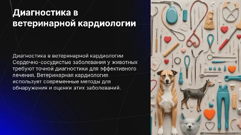 Диагностика сердечно-сосудистых заболеваний в ветеринарии