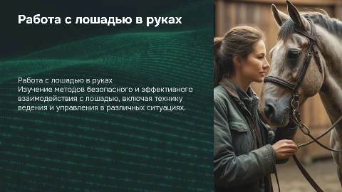 работа с лошадью в руках