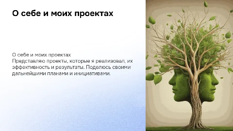 Презентация о себе и реализованных проектах