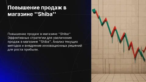 Повышение эффективности продаж в магазине "Shiba"