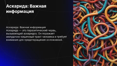 Аскарида