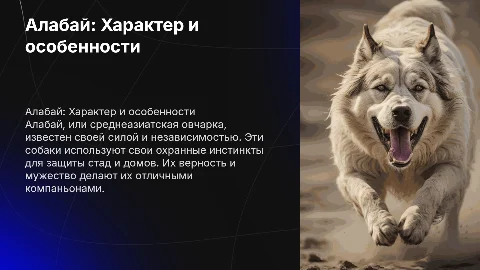 Алабай
