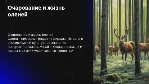 Олени