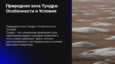 Природная зона Тундра