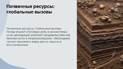Почвенные ресурсы как глобальная экологическая проблема