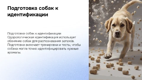 подготовка собак к одорологической идентификации