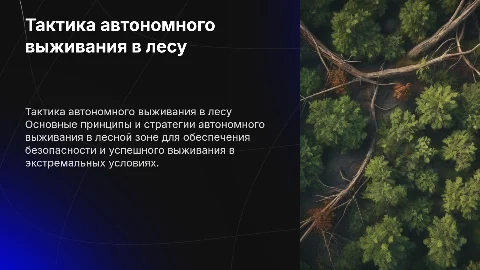Тактика автономного выживания в лесной зоне: ключевые аспекты