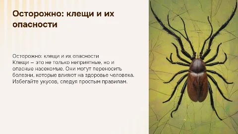 Осторожно: клещи