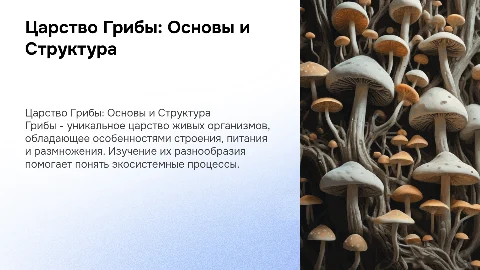 Царство Грибы. Строение, питание, размножение