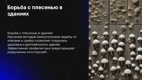 Биологическая защита зданий от плесени и грибка