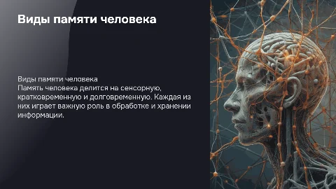 Виды памяти человека
