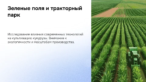 Зеленые поля и тракторный парк: раскошные поля кукурузы