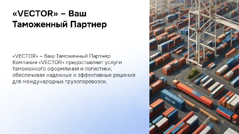 «VECTOR» – ТАМОЖЕННЫЙ и ЛОГИСТИЧЕСКИЙ ОПЕРАТОР