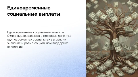 Единовременные социальные выплаты: виды, размер, правовые основы