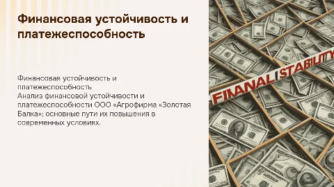 Финансовая устойчивость и платежеспособность ООО «Золотая Балка»