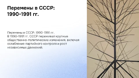 Общественно-политическая жизнь СССР в 1990-1991 г