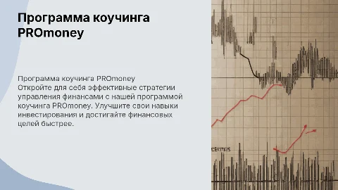 Презентация программы коучинга PROmoney