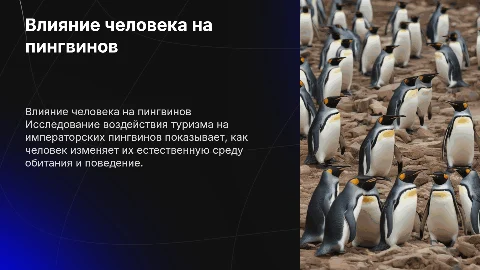 Воздействие человека на пингвинов: презентация о туризме