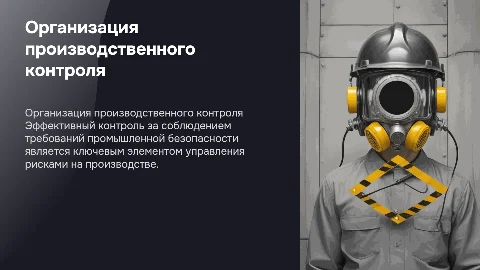 Организация производственного контроля и промышленной безопасности